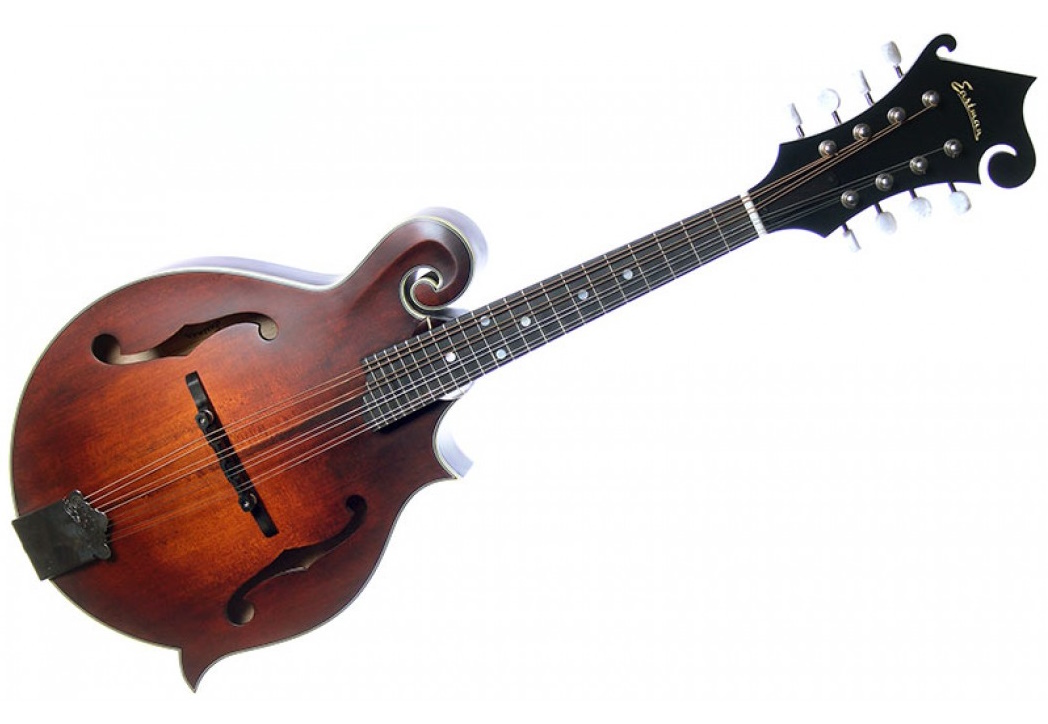 Best Mandolin Under £1000 Best Electric Guitars For Beginners